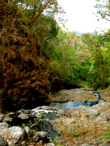 waterfall hill